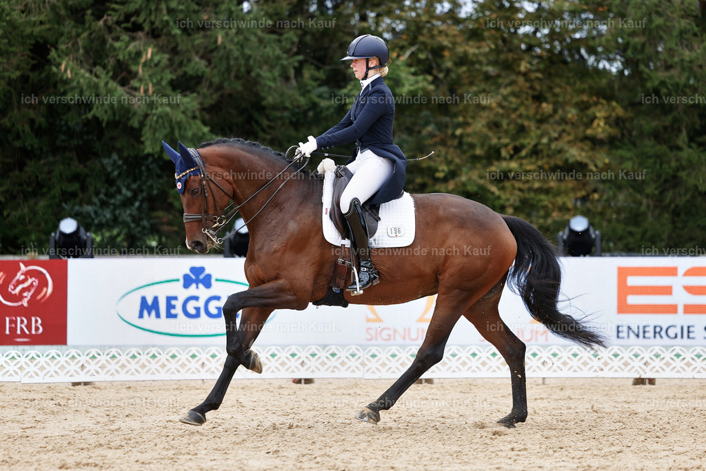 6-196-AMATUER-DRESSUR S_  -StoibPH-3524 | working equitationturnier fotograf videograf stoibphotography marixx film working equitation deutschland reitsport turnierfotografie eventfotografie equestrian events