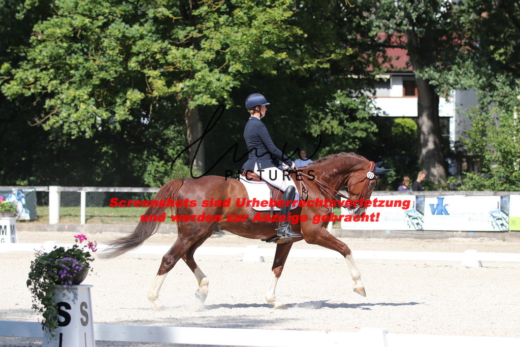 IMG_5397 | lmwpictures - Realisiert mit Pictrs.com