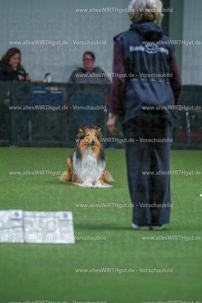 7R502102 | Professionelle Tierfotografie in Mönchengladbach von Daniel Wirth (allesWIRTHgut). Liebevolle & natürliche Bilder von Hunden & Katzen für unvergessliche Erinnerungen.
