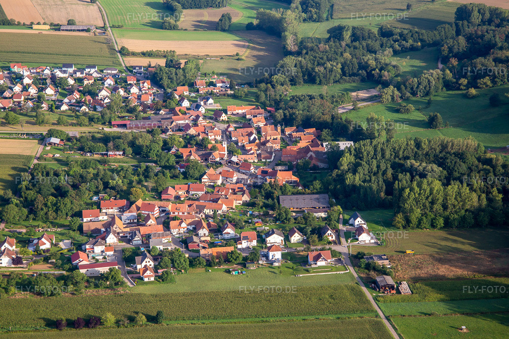 Luftbild: Ortsansicht von Südosten in Ingolsheim im Bundesland Bas-Rhin in Frankreich. Foto: IMG_138103.jpg vom 19.08.2023 durch Werner Riehm/FLY-FOTO.de