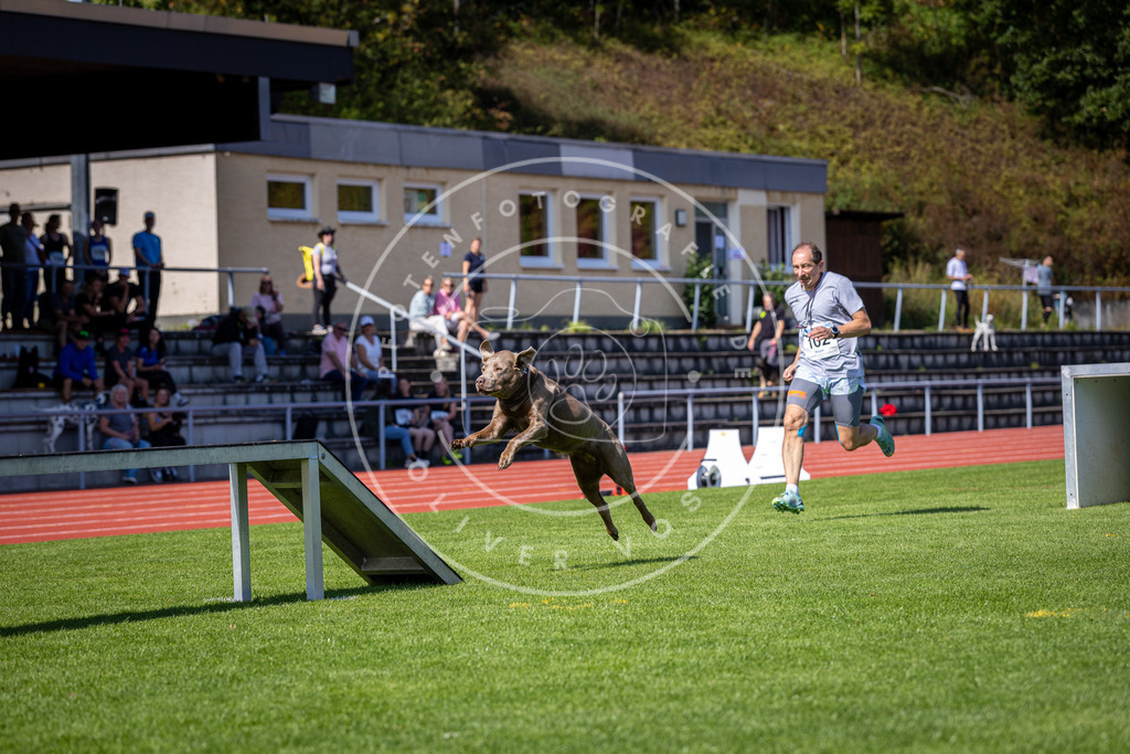 Pfotenfotografie_DV3A8065 | Hundefotografie, Tierfotograf, Pfotenfotografie, Fotoshooting Hund, Hunde Portrait, Hundesport, Hundeportraits, Heideshooting, Hunde, Sportfotograf, Hundefotograf, Turnierhundsport, THS,  - Realisiert mit Pictrs.com