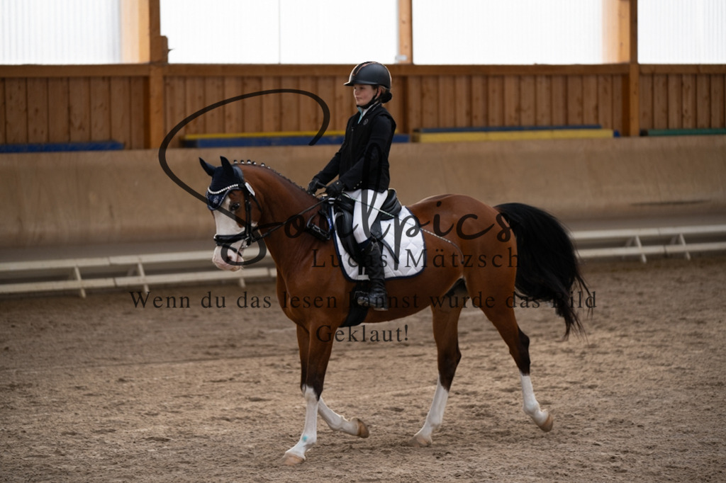 A7V09256 | Pferdefotograf