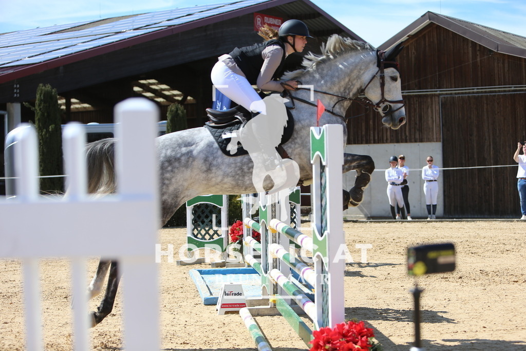 DL2Q6029 | Willkommen bei Brunnmayr - Design & Fotografie – Ihrem Spezialisten für Reitturniere und Pferdeveranstaltungen in Oberösterreich, Salzburg und Bayern! Seit über 17 Jahren sind wir leidenschaftlich dabei.