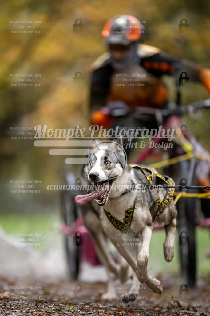 MompixPhotography_Bischwiller23_Kart-2 | PayLife