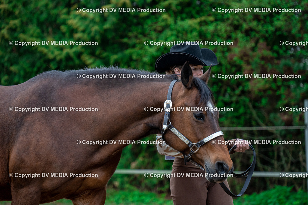 BA300062 | dv-media-shop - Realisiert mit Pictrs.com