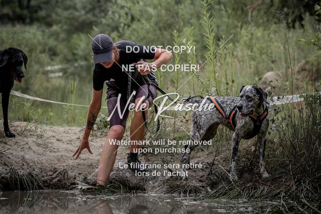 nelerasche_so0800-0930_271 | nelerasche