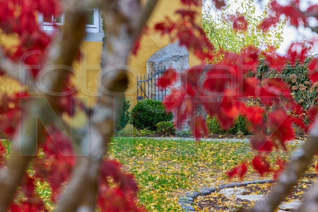 2022-10-12 14-20-22__5_27206 | Nitz Fotografie aus Montabaur bietet Ihnen hier die Möglichkeit Bilder auszusuchen und zu bestellen. 
