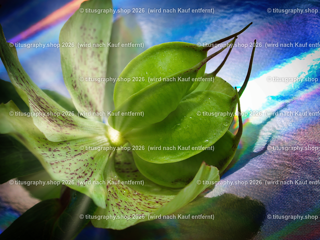 2024-04-23_029-b3_pe | Fotokunstarbeit aus der INSTAGRAM-Gallerie auf titusgraphy.eu - Realisiert mit Pictrs.com