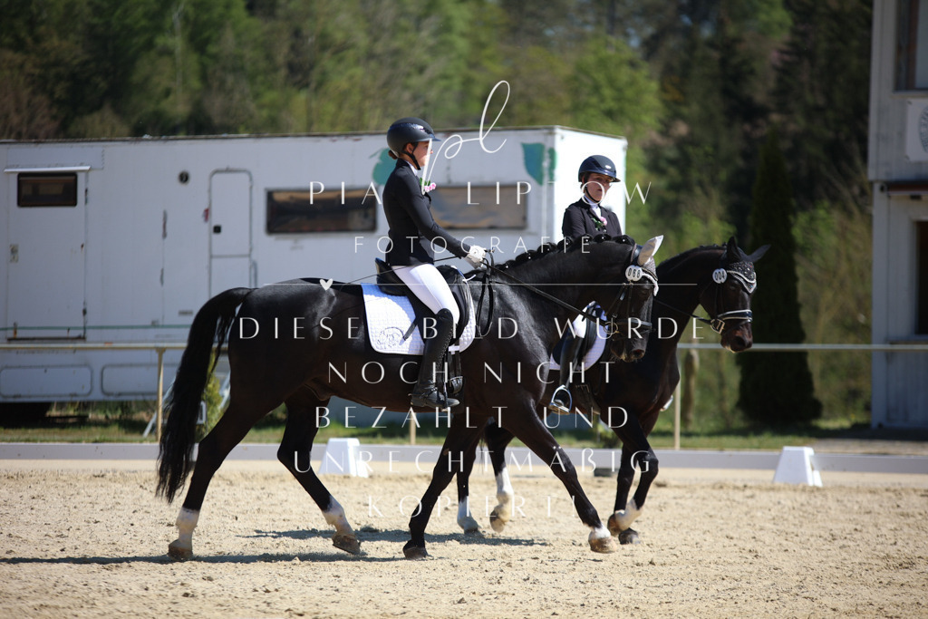 IMGT1799 | pl-fotografie