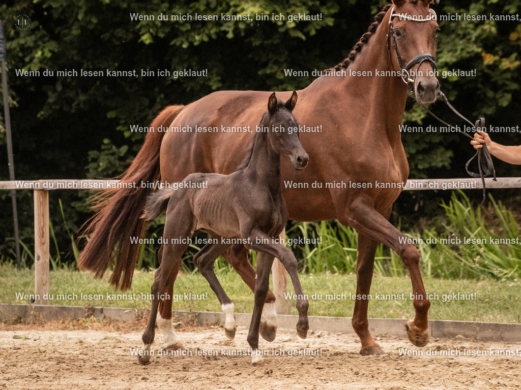 A10I5045 | photographylinaismer - Realisiert mit Pictrs.com