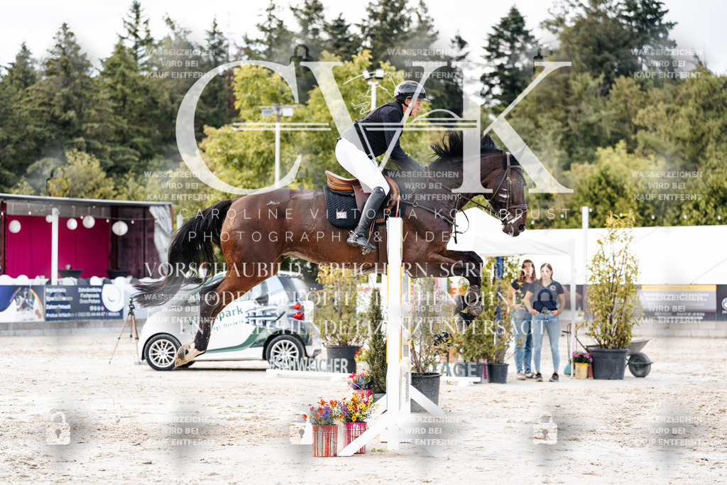 CK903750 | Turnierfotografie Pferdefotografie Trier Rheinland-Pfalz Pferdesport Reitsport Tierfotografie Sportfotografie Pferdevideo Pferdevideografie Equestrianvideography equestrianphotography  - Realisiert mit Pictrs.com