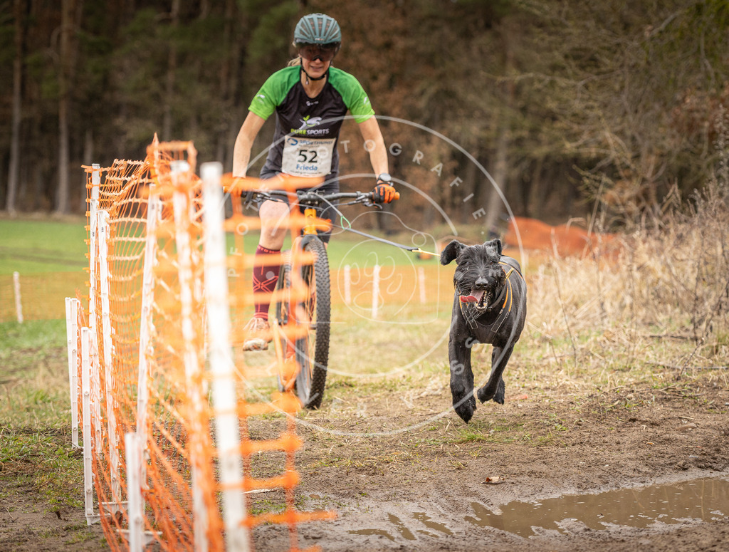 DV3A1546 | Hundefotografie, Tierfotograf, Pfotenfotografie, Fotoshooting Hund, Hunde Portrait, Hundesport, Hundeportraits, Heideshooting, Hunde, Sportfotograf, Hundefotograf, Turnierhundsport, THS,  - Realisiert mit Pictrs.com