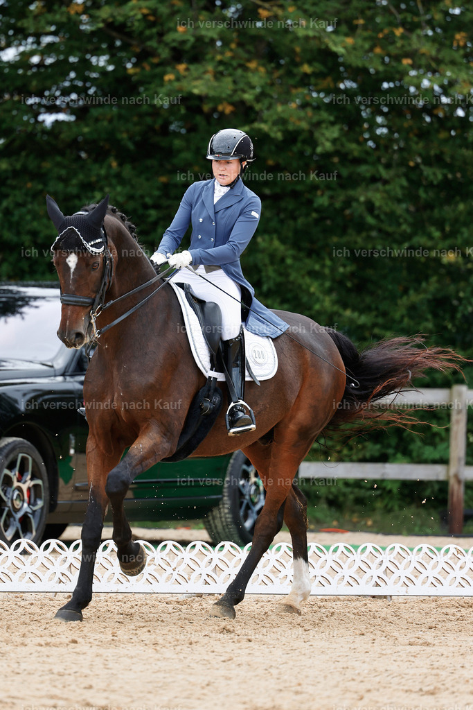 6-200-AMATUER-DRESSUR S_  -StoibPH-3534 | working equitationturnier fotograf videograf stoibphotography marixx film working equitation deutschland reitsport turnierfotografie eventfotografie equestrian events