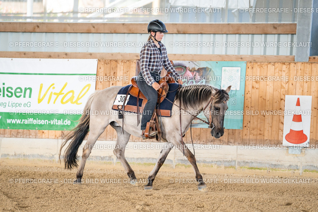 DSC01797 | Pferdegrafie