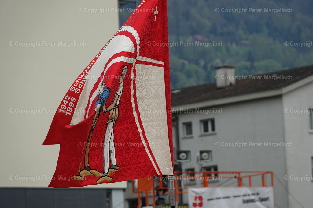 DSC03390 | Schwingen - Realisiert mit Pictrs.com