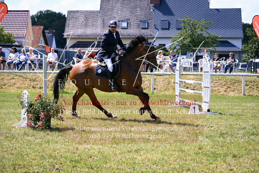 DSC_0201 | Pferde- und Turnierfotografie in Westsachsen. Pferdeportraits, Auftragszeichnungen und intuitive Kunst.