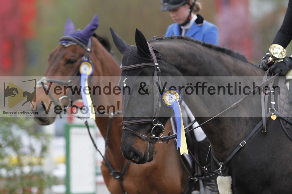 _MG_6080 | equestrian-live-com