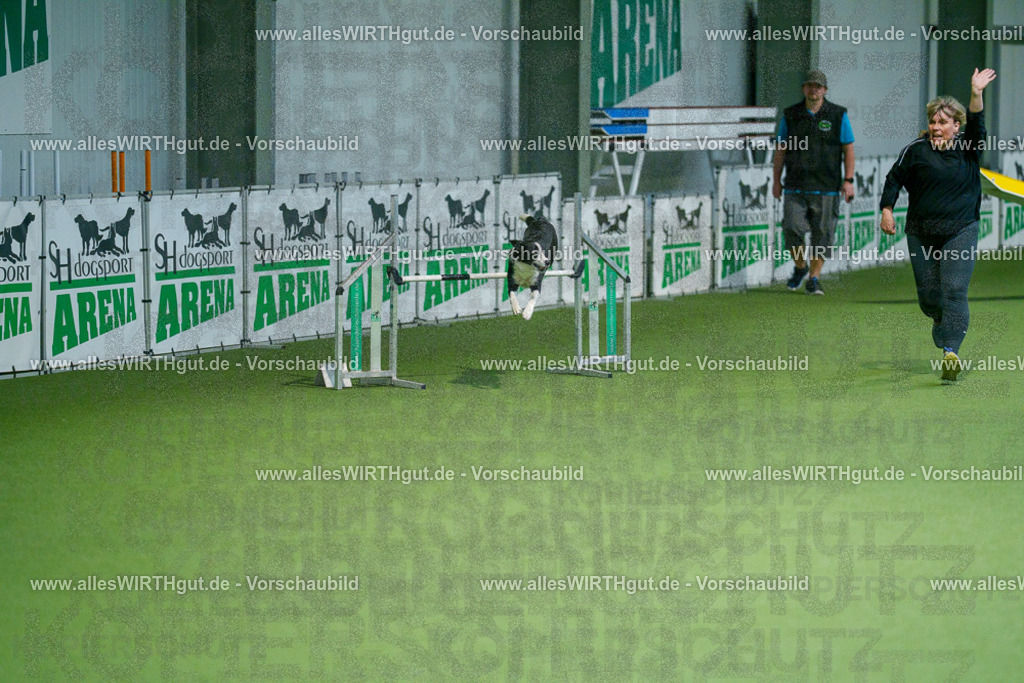 @allesWIRTHgut_Tierfotografie - www.allesWIRTHgut.de - 2604250828-7R506778 | Professionelle Tierfotografie in Mönchengladbach von Daniel Wirth (allesWIRTHgut). Liebevolle & natürliche Bilder von Hunden & Katzen für unvergessliche Erinnerungen.