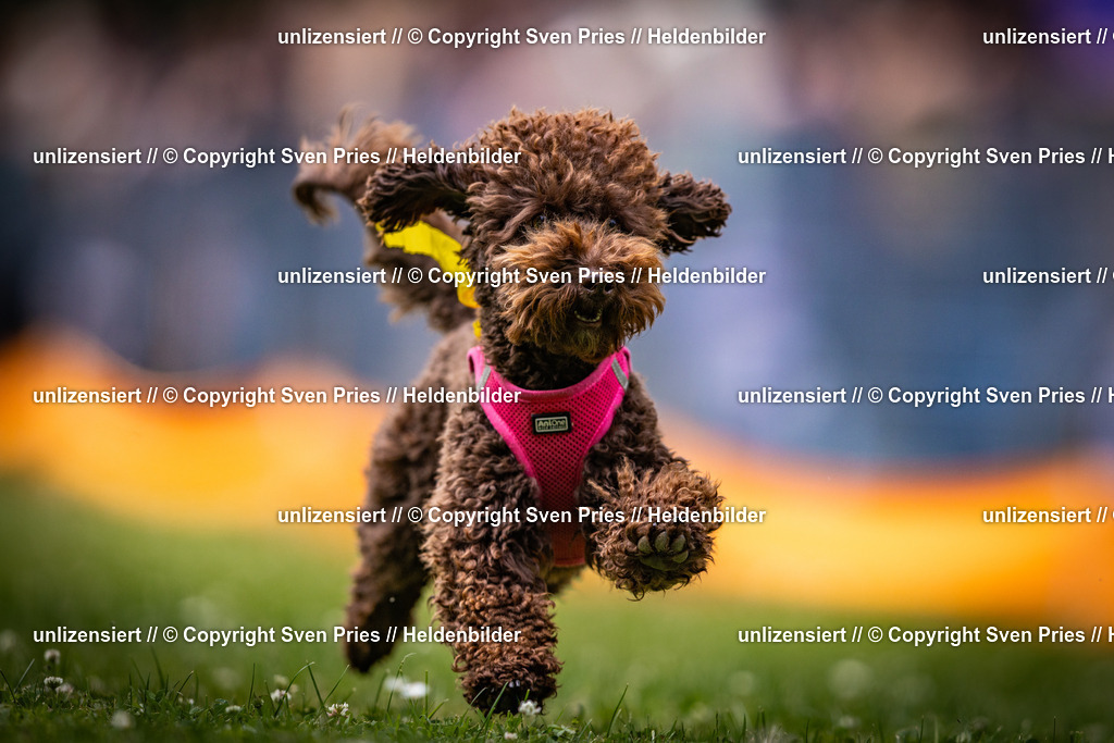 Sven Pries | 2025-05-29 - Pudelrennen KA-Durlach - Realisiert mit Pictrs.com