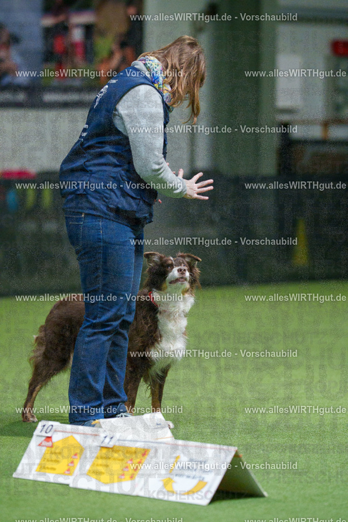 7R504202 | Professionelle Tierfotografie in Mönchengladbach von Daniel Wirth (allesWIRTHgut). Liebevolle & natürliche Bilder von Hunden & Katzen für unvergessliche Erinnerungen.