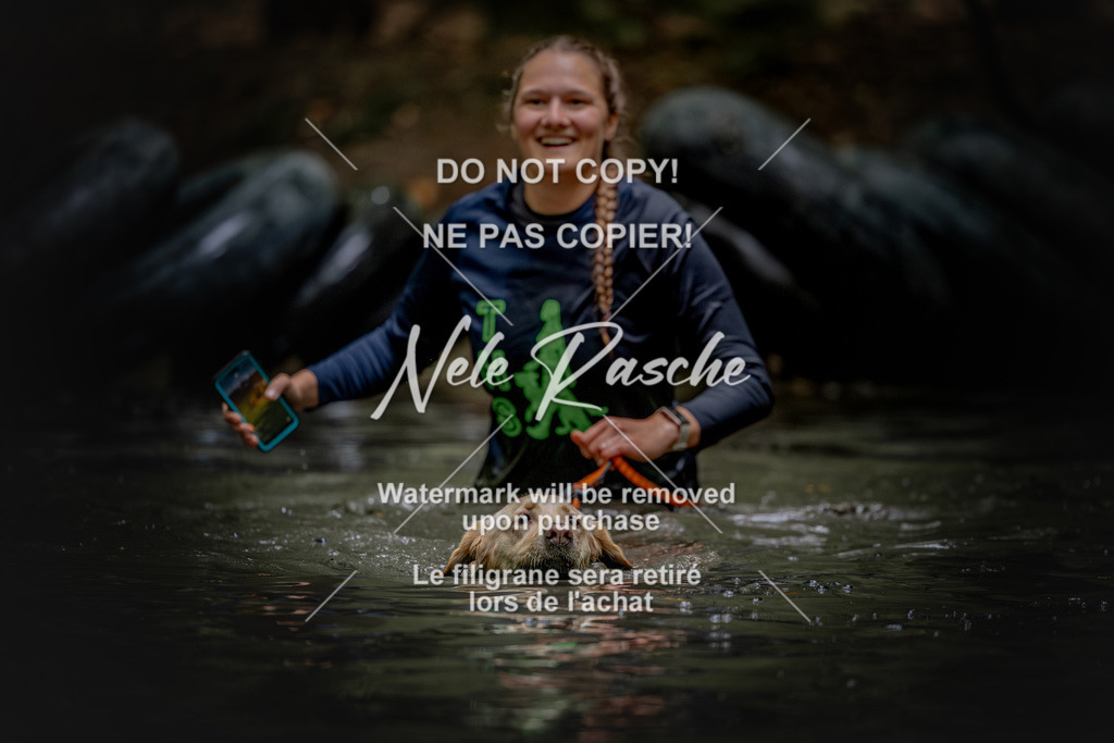 nelerasche_SaWingst1200-1230_353 | nelerasche