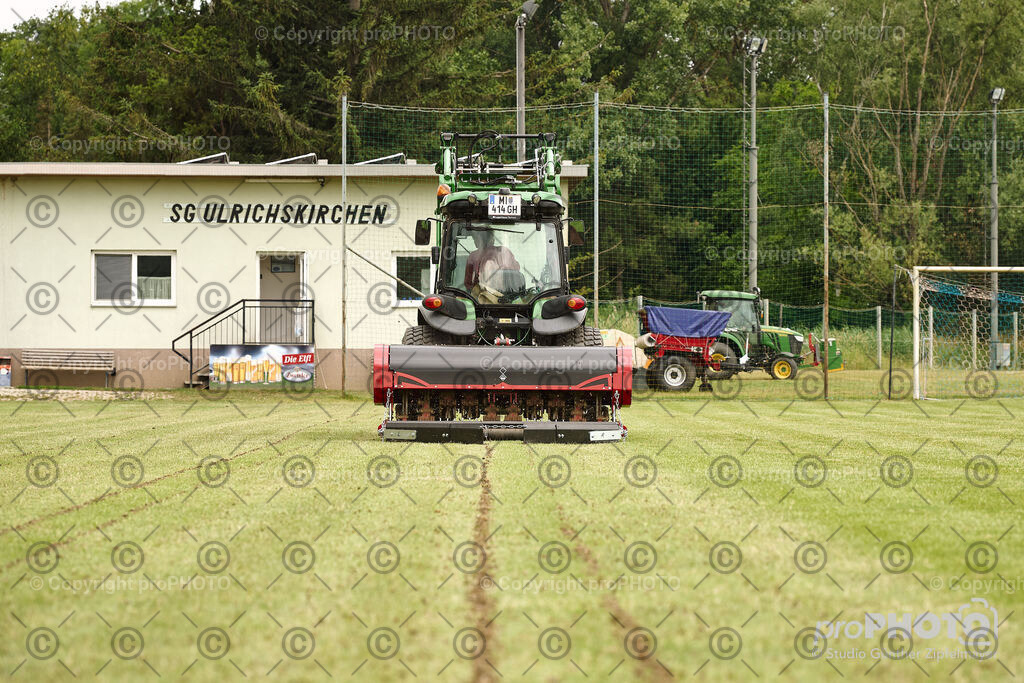 202507_Rernböck-Rasen_NZ9_1158 | proPHOTO - Realisiert mit Pictrs.com