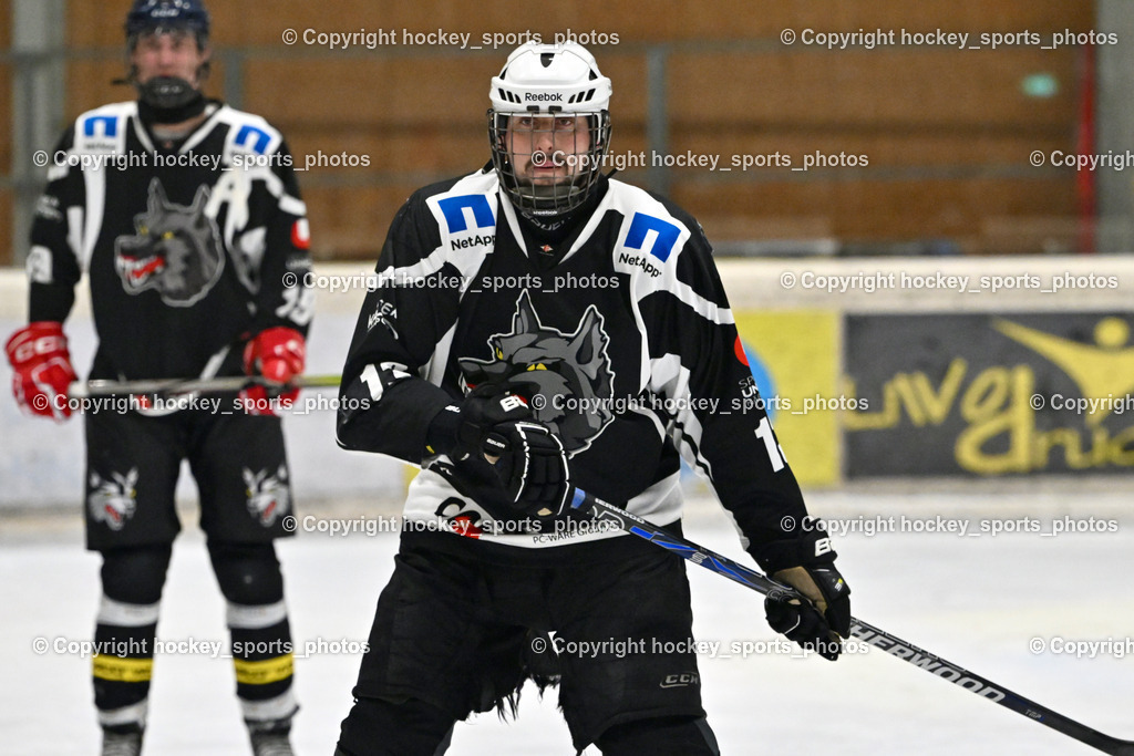 EC Tigers Paternion vs. Tarco Wölfe II | #13 Dobnig Helge Tarco Wölfe II, EC Tigers Paternion vs. Tarco Wölfe II, EC Tigers Paternion vs. Tarco Wölfe II am 19.12.2024 in Spittal an der Drau (Eissportzentrum Spittal), Austria, (Photo by Bernd Stefan)
