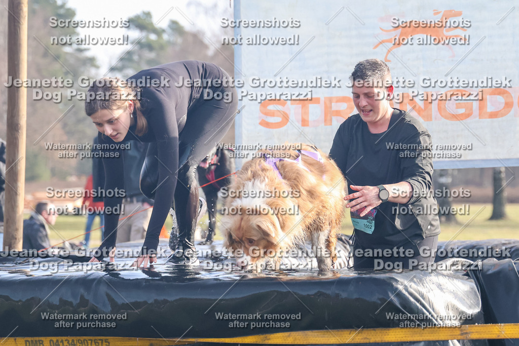 Dog Paparazzi - Strongdog North Mrz26-187 | Dog Paparazzi Jeanette Grottendiek Fotografie & Videografie - Realisiert mit Pictrs.com