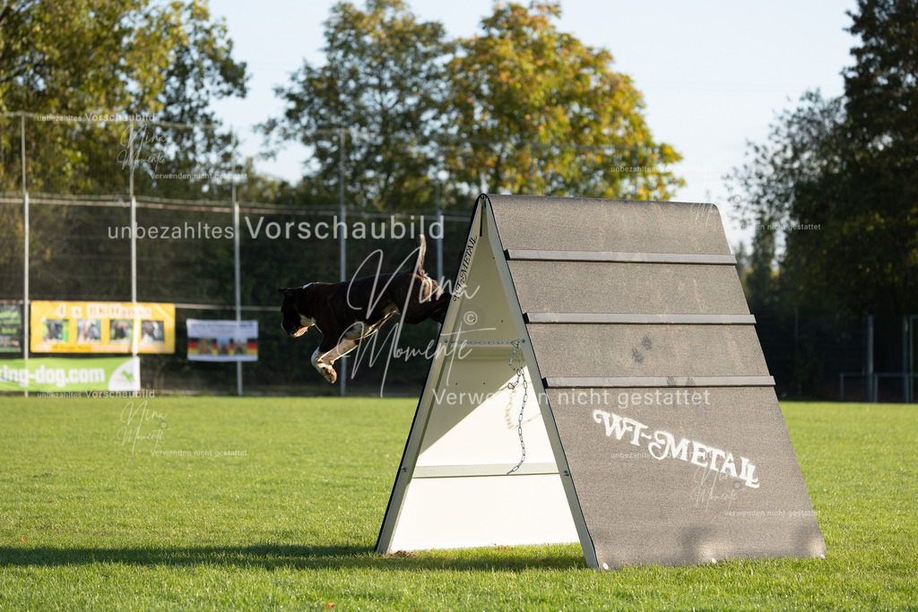 _16A6127 | Einzigartige Fotos von Hunden & Menschen –Actionfotos, Portraits, Vereinsaufnahmen & Paarshootings – authentisch, lebendig & mit Herz.