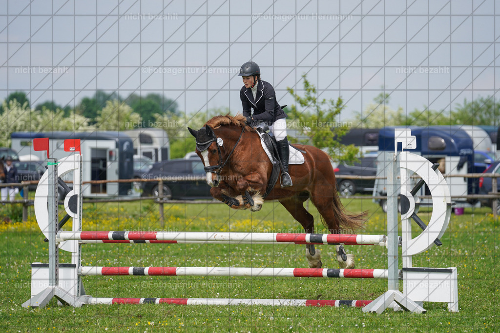20240509-FAH02839 | Turnierbilder der Turnierfotografen Bayern, Pferdesport Fotografie, Reitsportbilder, Turnier Landberg am Lech, Turnierbilder bayern, Fotoagentur Herrmann