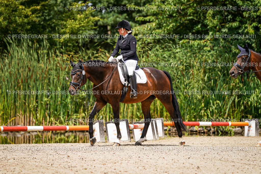 DSC02200 | Pferdegrafie