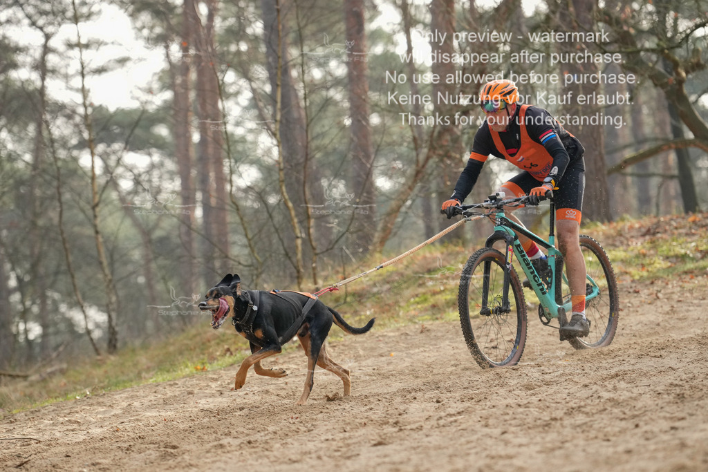 Bike1-128 | stephaniefillaphotographie - Realisiert mit Pictrs.com