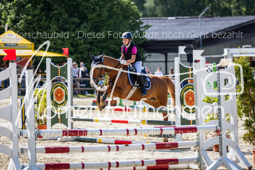 Donop24-ESpr-092 | MomenTaufnahmen Pferdesportfotos