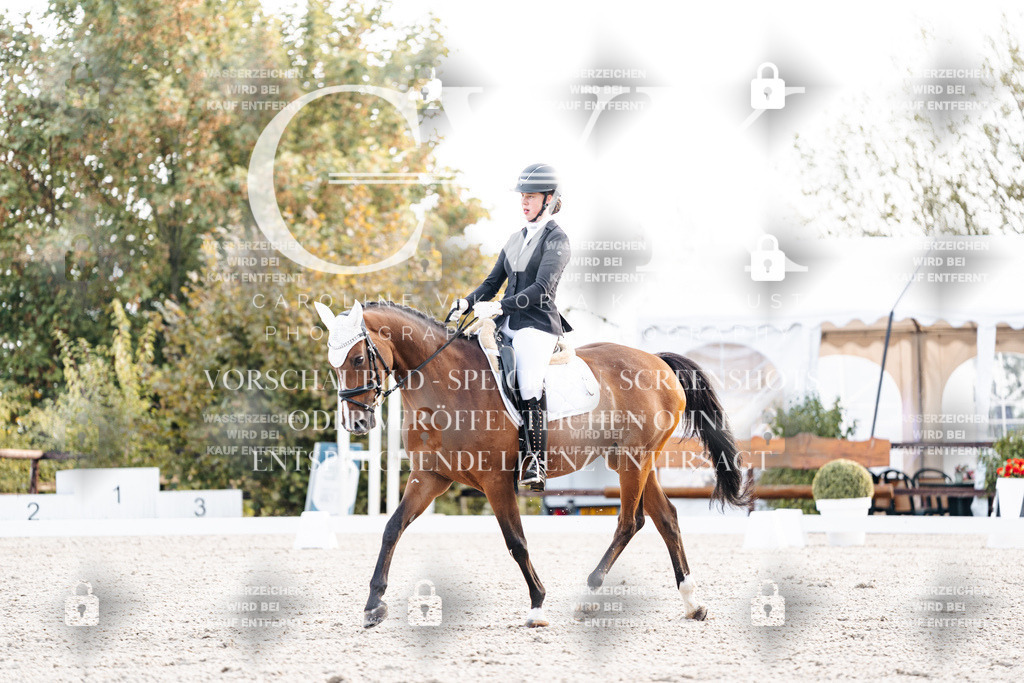 CK900407 | Turnierfotografie Pferdefotografie Trier Rheinland-Pfalz Pferdesport Reitsport Tierfotografie Sportfotografie Pferdevideo Pferdevideografie Equestrianvideography equestrianphotography  - Realisiert mit Pictrs.com