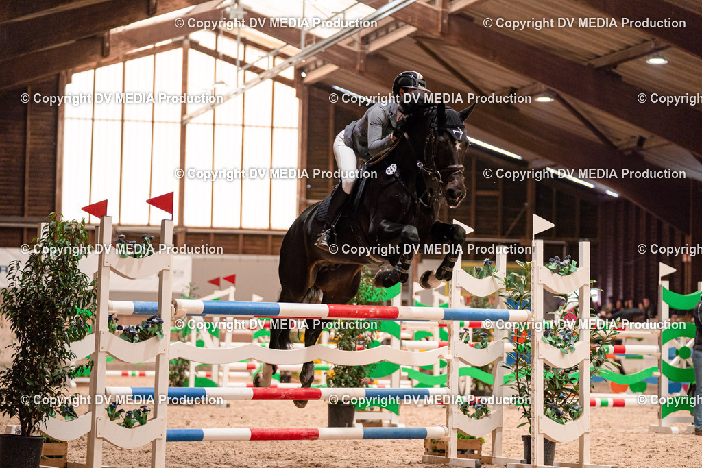 Springen Tag 3-324 | dv-media-shop - Realisiert mit Pictrs.com