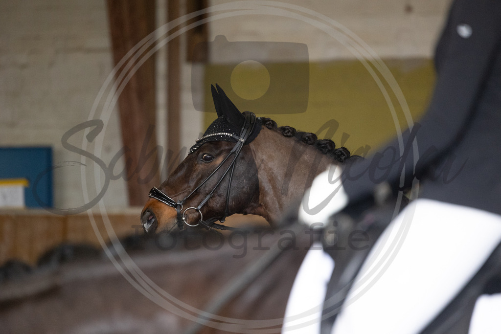 994A8859 | sabrinanicolaifotografie - Realisiert mit Pictrs.com