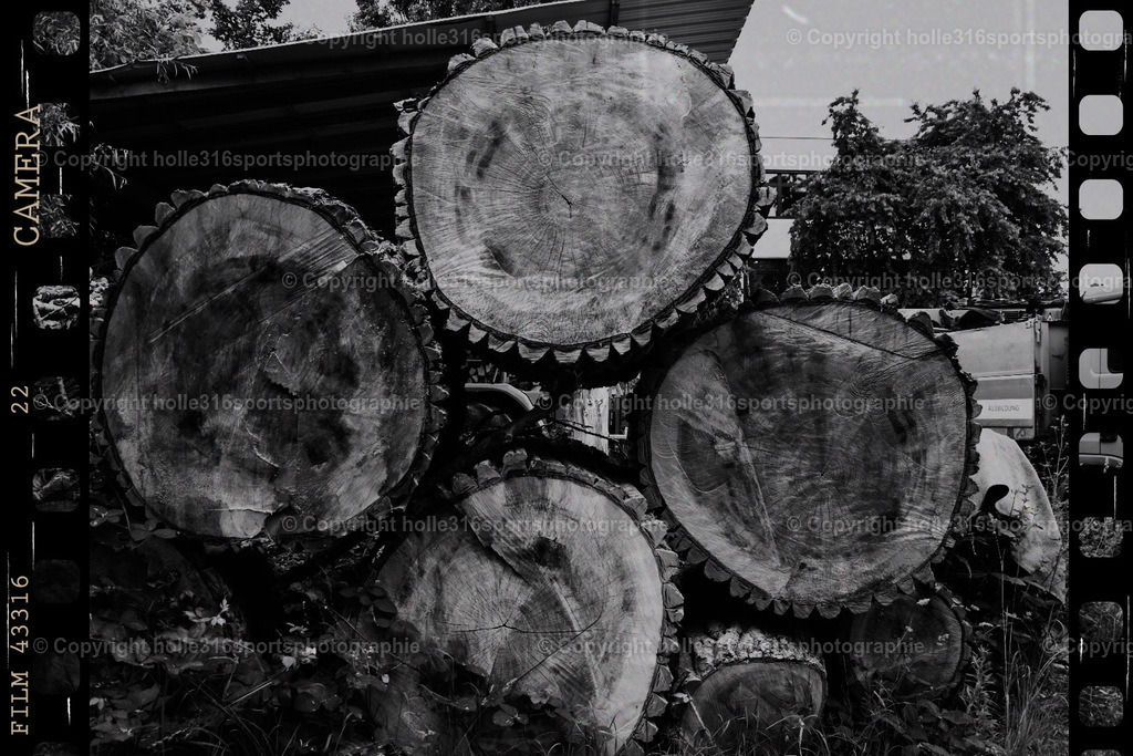 PSX_20250601_210055 | Sportfotografie , Motorsport, Motoross, Reitsport, Mointainbike, Enduro,
Landschaft , Outdoor, Eventfotografie, Landschaft, Bilder online bestellen - Realisiert mit Pictrs.com