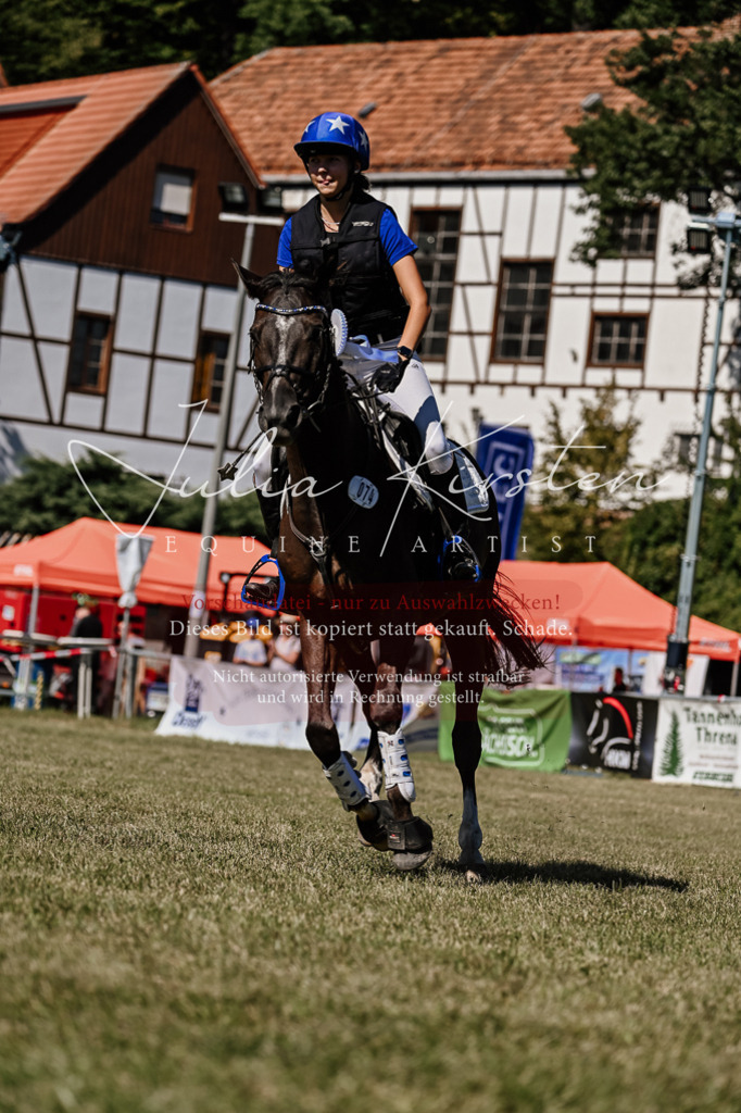 DSC_2585 | Pferde- und Turnierfotografie in Westsachsen. Pferdeportraits, Auftragszeichnungen und intuitive Kunst.