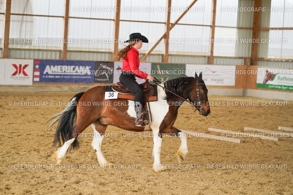 DSC04214 | Pferdegrafie