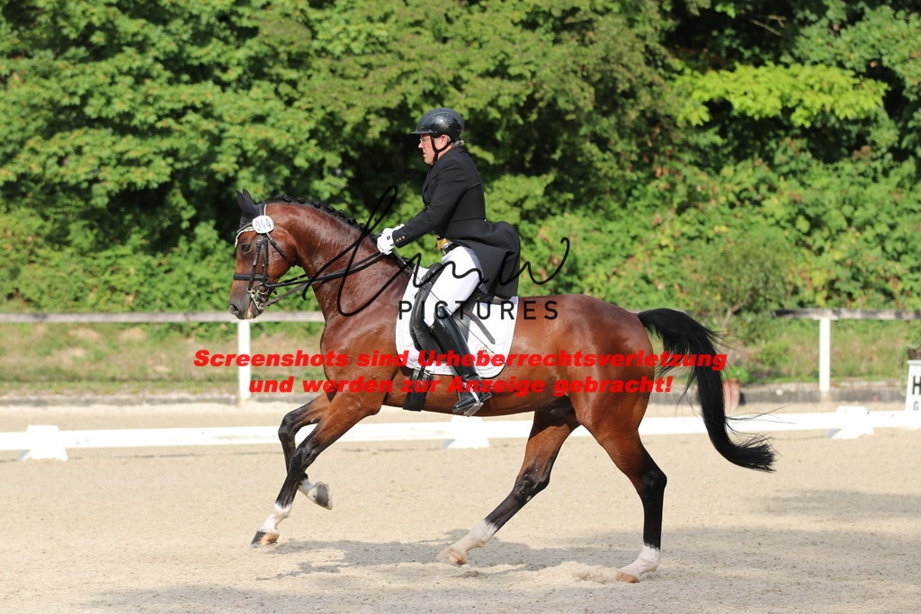 IMG_6258 | lmwpictures - Realisiert mit Pictrs.com