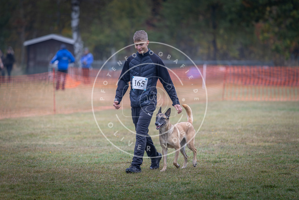 Pfotenfotografie_DV3A8909 | Hundefotografie, Tierfotograf, Pfotenfotografie, Fotoshooting Hund, Hunde Portrait, Hundesport, Hundeportraits, Heideshooting, Hunde, Sportfotograf, Hundefotograf, Turnierhundsport, THS,  - Realisiert mit Pictrs.com
