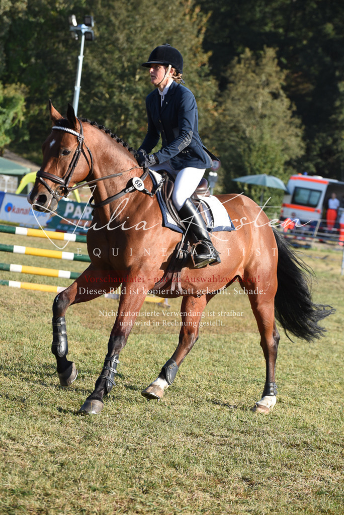 DSC_5022 | Pferde- und Turnierfotografie in Westsachsen. Pferdeportraits, Auftragszeichnungen und intuitive Kunst.