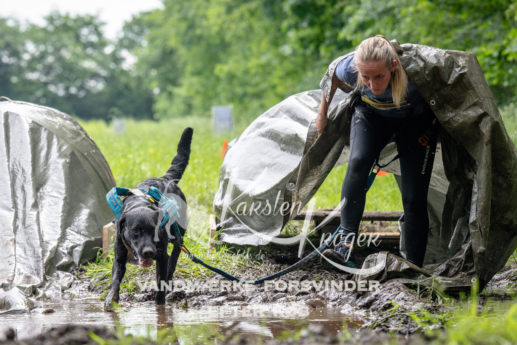 0959_ZZ92484 | kk-dogfotos