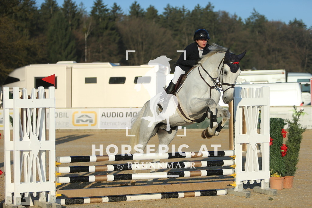 DL2Q7248 | Willkommen bei Brunnmayr - Design & Fotografie – Ihrem Spezialisten für Reitturniere und Pferdeveranstaltungen in Oberösterreich, Salzburg und Bayern! Seit über 17 Jahren sind wir leidenschaftlich dabei.