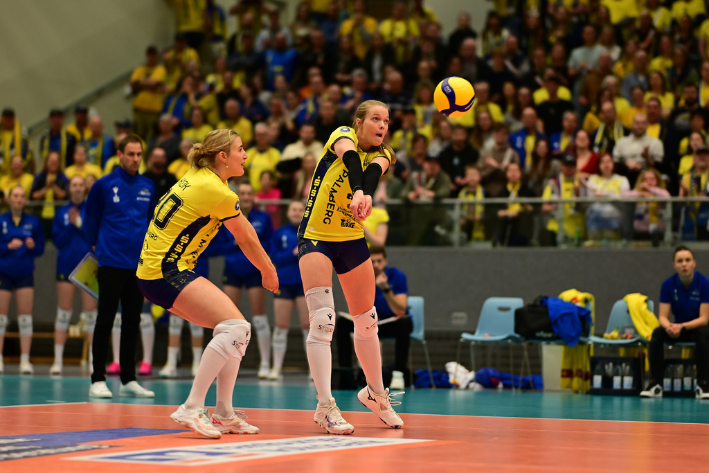 Volleyball I Frauen I Saison 2025-2026 I Bundesliga I 12. Spieltag I ETV Hamburger Volksbank Volleys - SSC Palmberg Schwerin | Der Sportfotograf. - Realisiert mit Pictrs.com