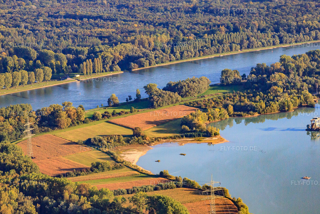 Luftbild: Baggersee am Rheinufer in Hagenbach im Bundesland Rheinland-Pfalz in Deutschland. Foto: IMG_45323.jpg vom 21.09.2011 durch Werner Riehm/FLY-FOTO.deAuflösung des Originals: 4752 x 3168 px