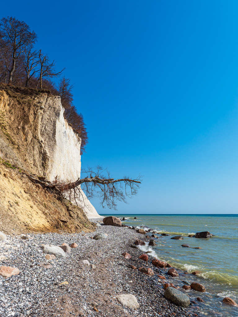 Kreidefelsen an der Küste der Ostsee auf der Insel Rügen | Kreidefelsen an der Küste der Ostsee auf der Insel Rügen.