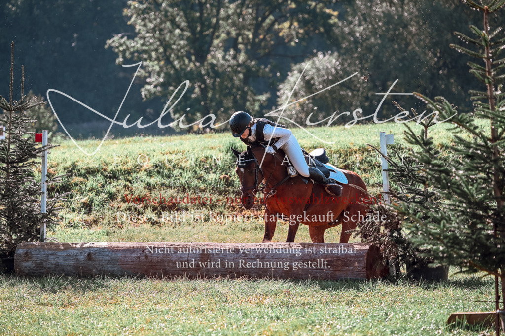 DSC_0609 | Pferde- und Turnierfotografie in Westsachsen. Pferdeportraits, Auftragszeichnungen und intuitive Kunst.