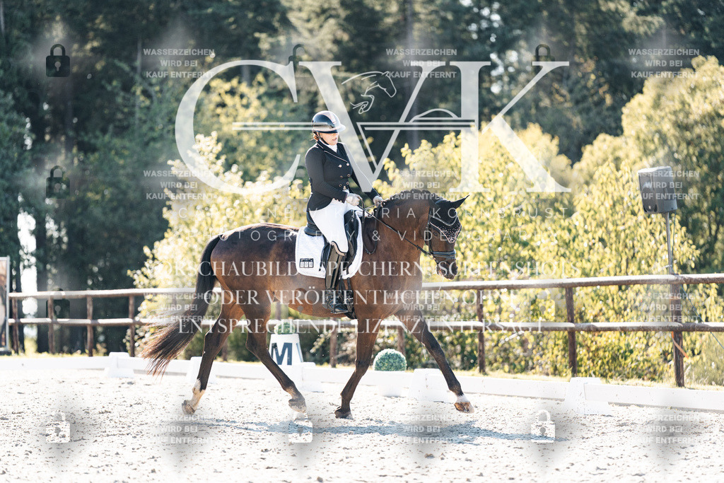 CK906104 | Turnierfotografie Pferdefotografie Trier Rheinland-Pfalz Pferdesport Reitsport Tierfotografie Sportfotografie Pferdevideo Pferdevideografie Equestrianvideography equestrianphotography  - Realisiert mit Pictrs.com