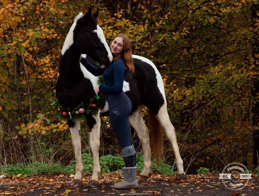 Lieblingsbilder_Photoboo_47 | Pferde- und Hundefotografie in Köln und Umgebung von Vanessza Csuka - Realisiert mit Pictrs.com